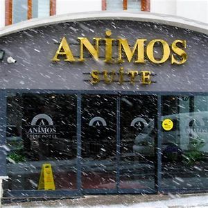 Animos Butik Otel Ankara Exterior photo