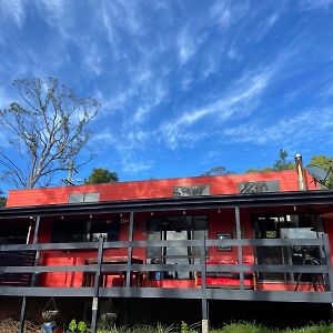 The Red Cottage Wentworth Falls Exterior photo