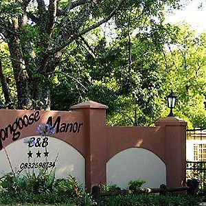 Mongoose Manor Hotell Port Elizabeth Exterior photo