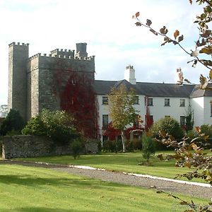 Barberstown Castle Hotell Straffan Exterior photo