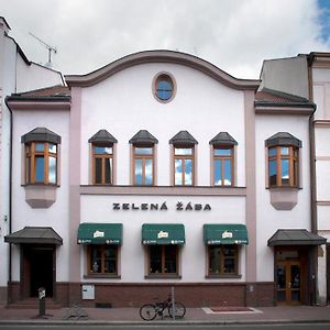 Penzion Zelena Zaba Pardubice Exterior photo