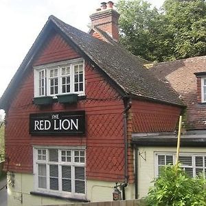 The Red Lion Hotell Betchworth Exterior photo