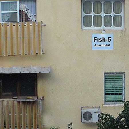 Fish 5 Apartment Tiberias Rum bild