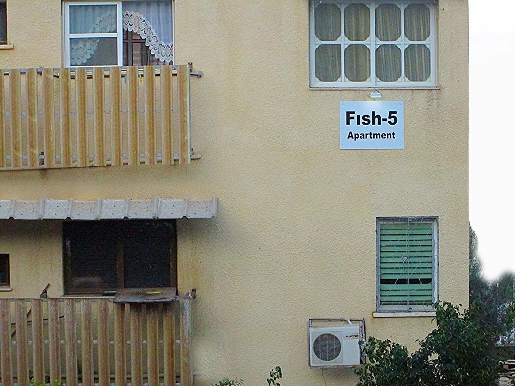 Fish 5 Apartment Tiberias Rum bild