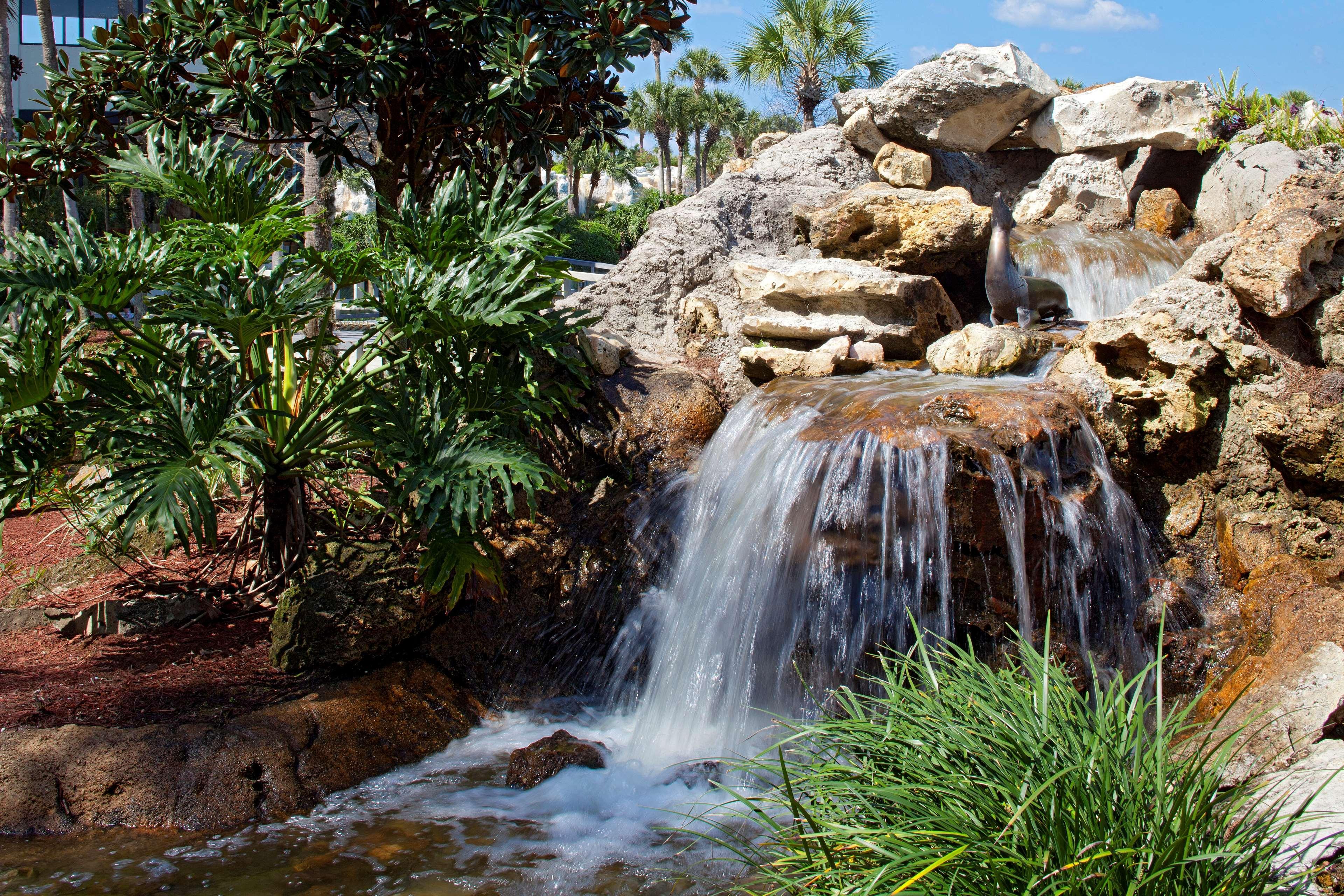 Hyatt Regency Grand Cypress Resort Orlando Exteriör bild