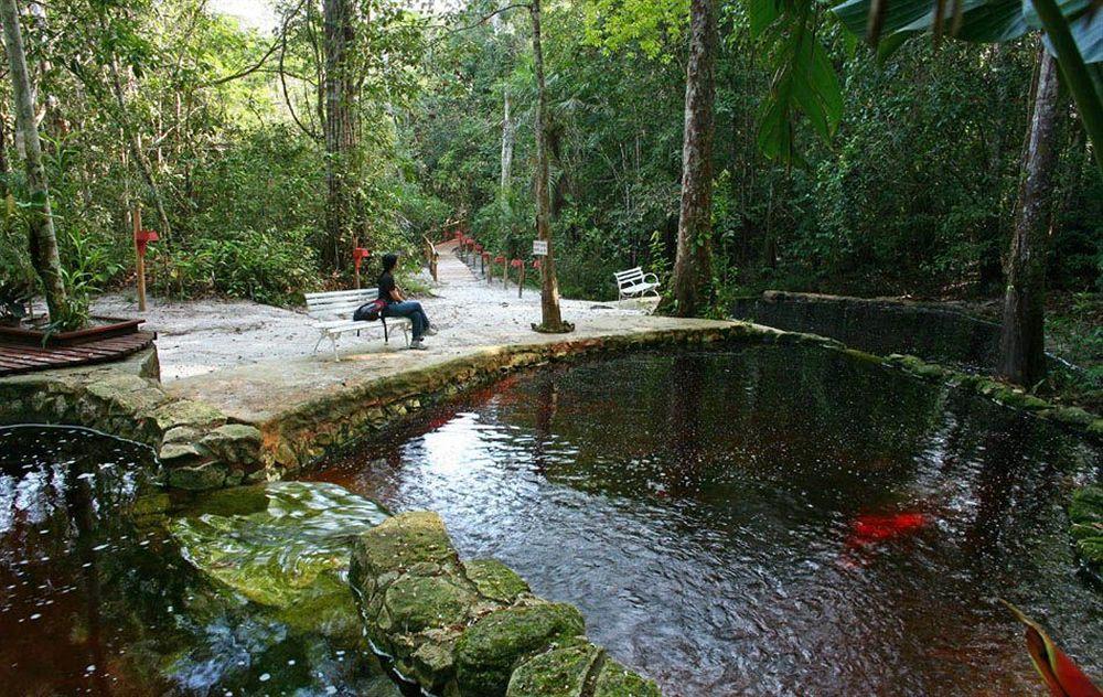 Amazone Eco Park Jungle Lodge Manaus Exteriör bild