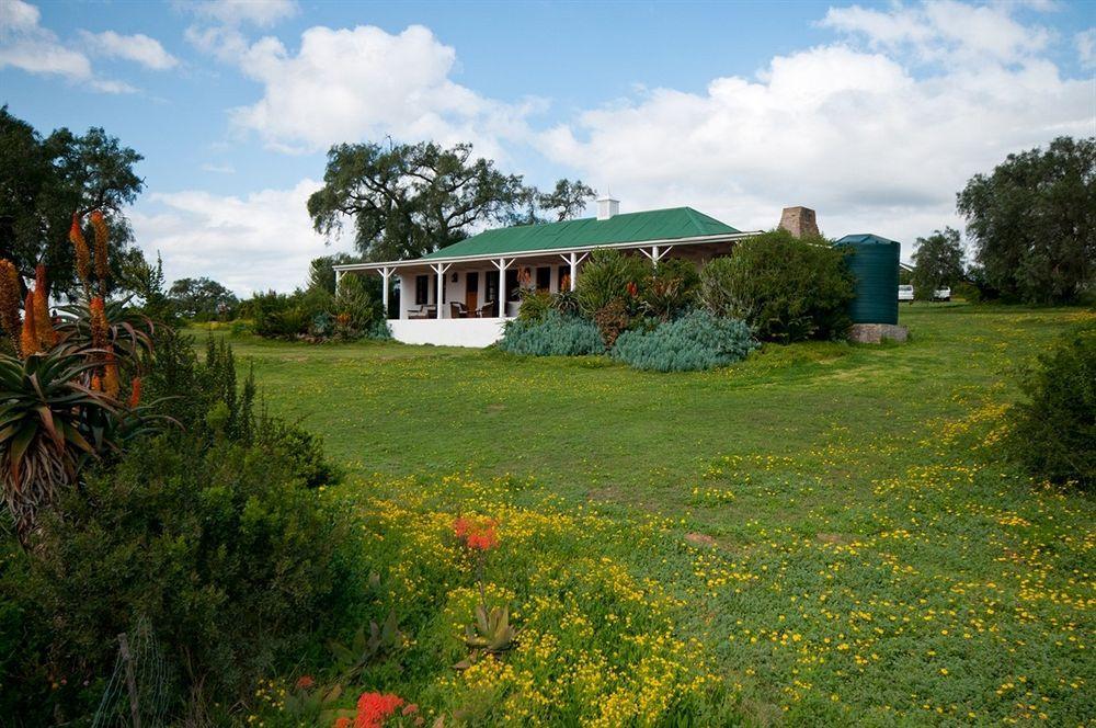 Leeuwenbosch Country House - Amakhala viltreservat Exteriör bild