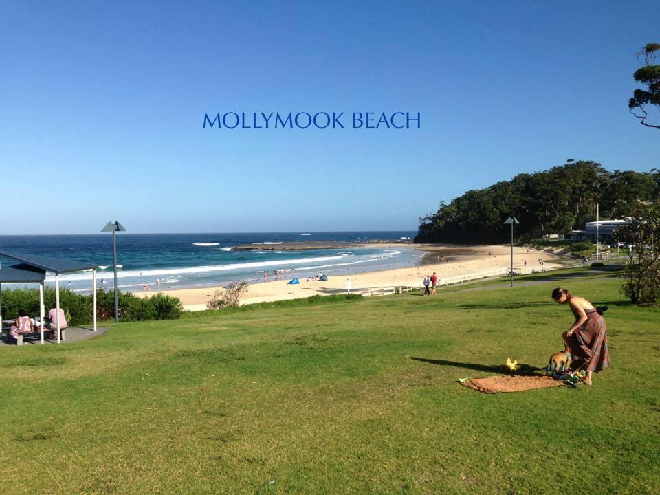 Beach House Mollymook Exteriör bild