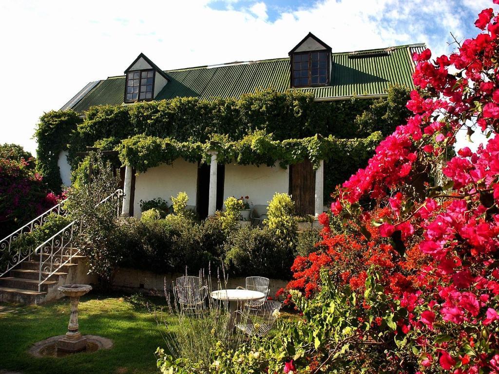 Leeuwenbosch Country House - Amakhala viltreservat Exteriör bild