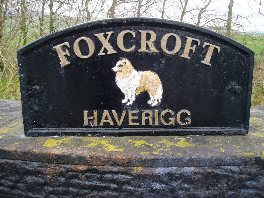 Foxcroft Bed & Breakfast Millom Exteriör bild