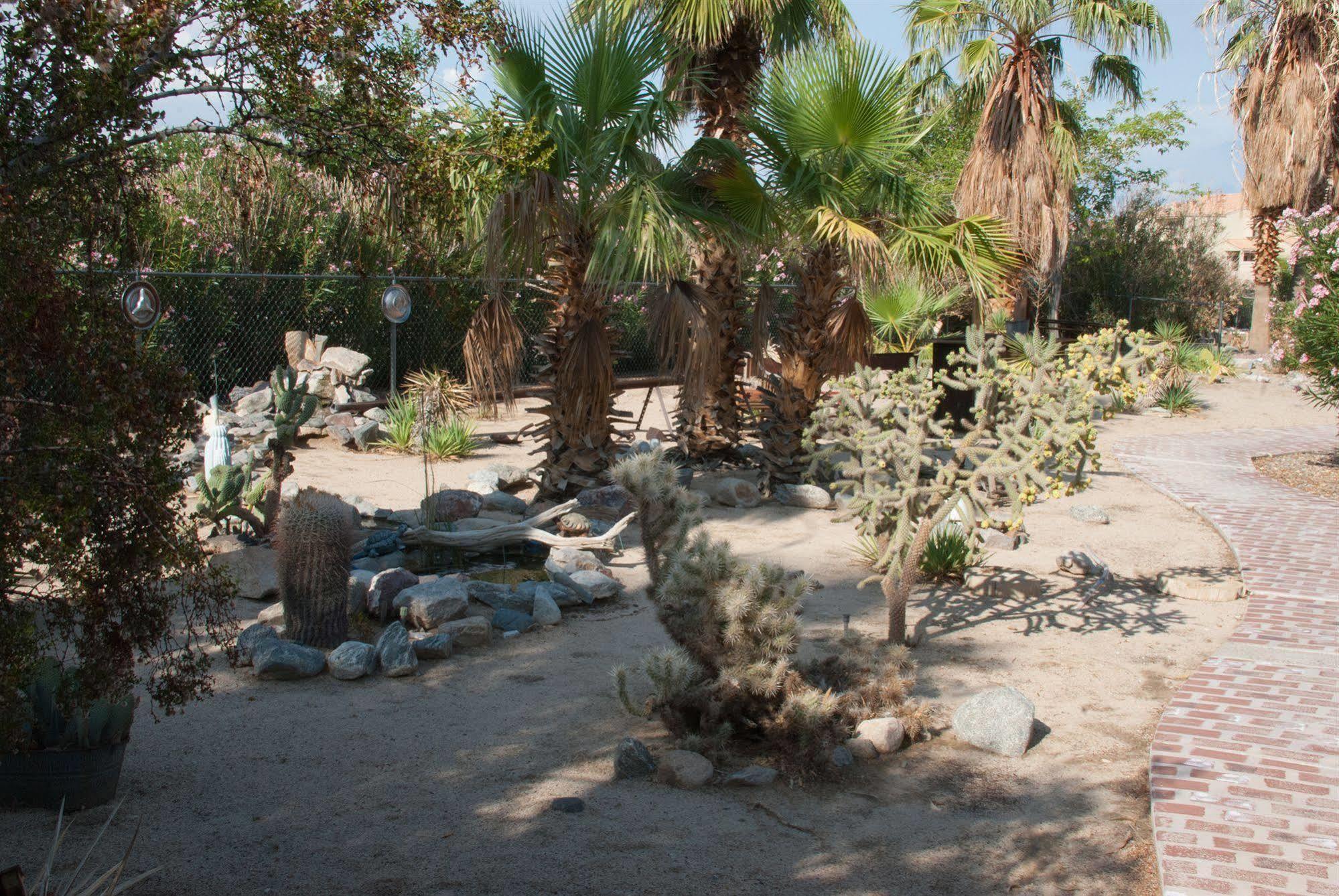 Sunnyvale Garden Suites - Joshua Tree National Park Twentynine Palms Exteriör bild