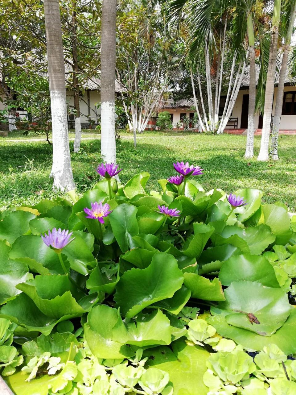 Lesco Resort Phú Mỹ Exteriör bild