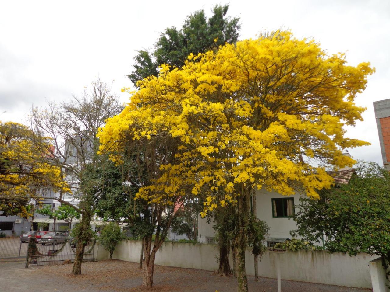 Hotel Steinhausen Blumenau Exteriör bild