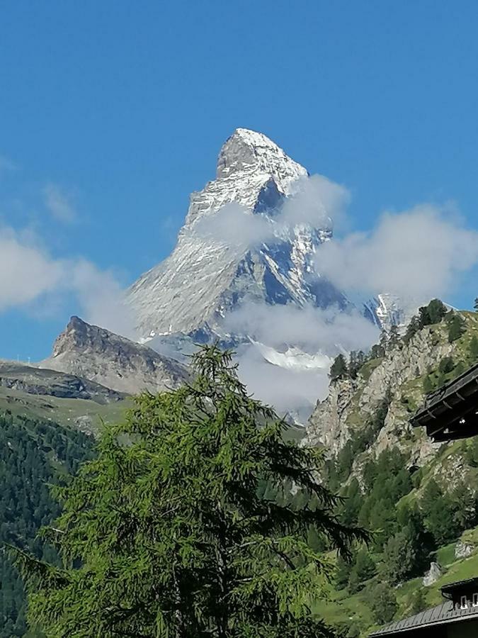 Petit Helvetia Budget Hotel Zermatt Exteriör bild
