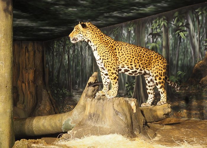 Milwaukee County Zoo photo