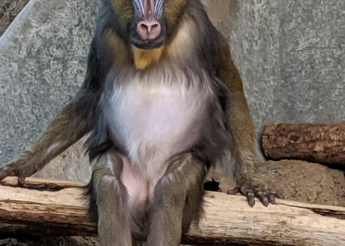 Milwaukee County Zoo photo
