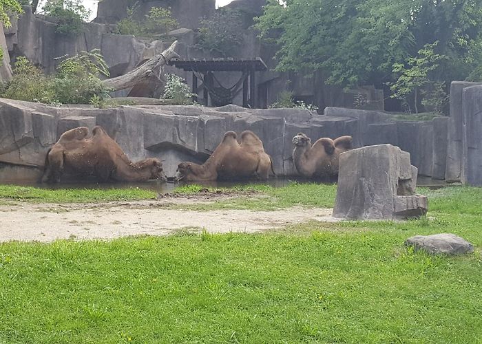 Milwaukee County Zoo photo