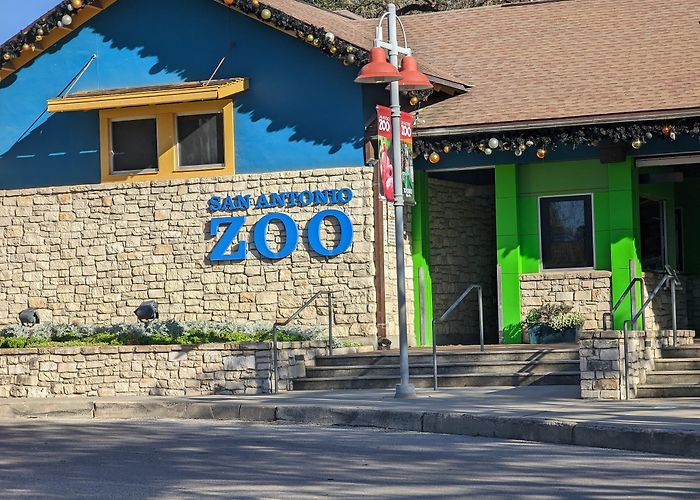 San Antonio Zoo and Aquarium photo