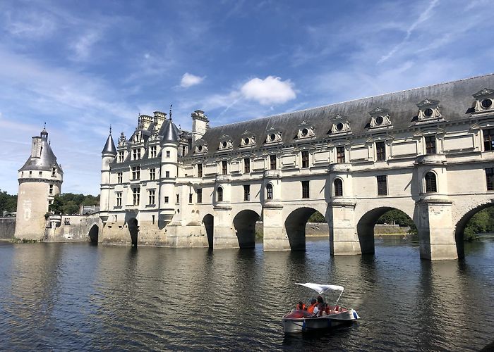 Zoo de Beauval Things to Do in Francueil in 2024 | Expedia photo