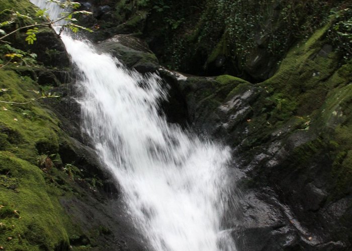 Dolgoch Falls Geology and Geomorphology | Aberdovey Londoner photo