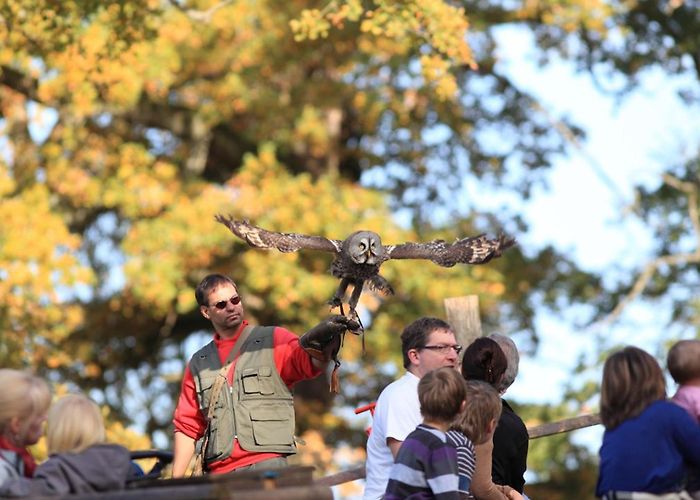 Tierpark Sababurg Tierpark Sababurg photo