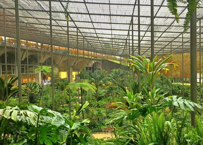 Estufa Fria Went to a Greenhouse... Ended Up in a Rainforest • A Portuguese Affair photo