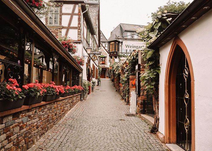 Drosselgasse Sehenswürdigkeiten in Rüdesheim am Rhein | Lieblingsplätze photo