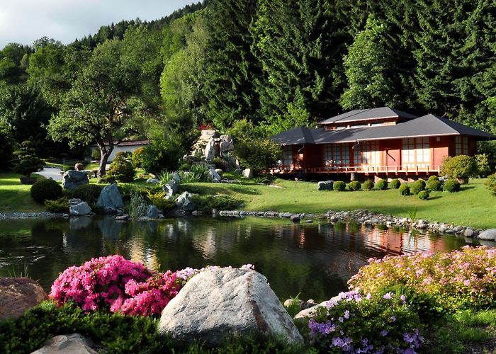 Bonsai - Museum Japan Bonsai, Inh Günther Klösch Bonsaimuseum - Österreichs Wanderdörfer photo