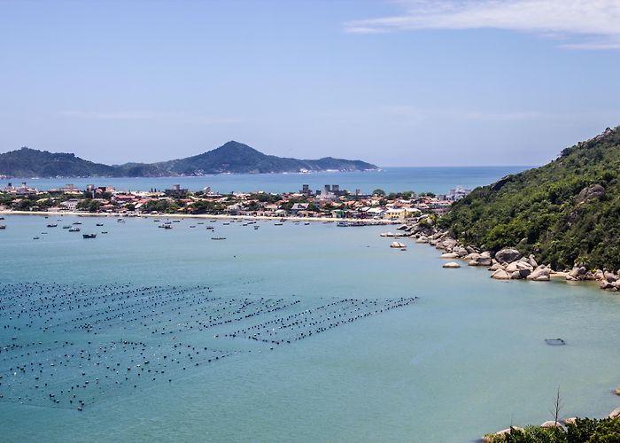 Conceicao Beach Visit Mariscal: 2024 Mariscal, Bombinhas Travel Guide | Expedia photo