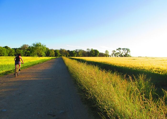 Shifting Stone Visit Tandil: 2024 Travel Guide for Tandil, Buenos Aires Province ... photo