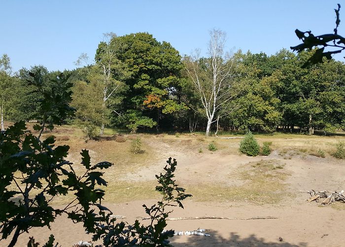 De Twee Marken The Top Hiking Trails in Woudenberg | Outdooractive photo