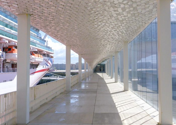 Mar Stadium Visit Matosinhos: 2024 Travel Guide for Matosinhos, Porto | Expedia photo