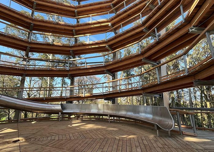 Avondale Forest Park Beyond the Trees - Avondale - Wicklow County Tourism photo