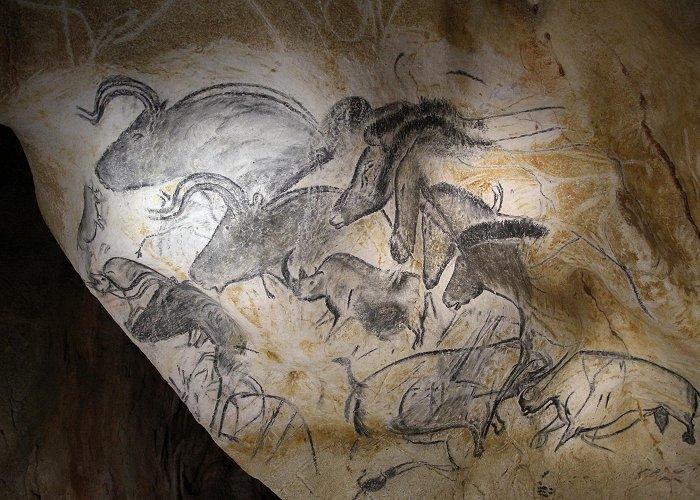 Chauvet Cave Smarthistory – Religion: spotlight — Chauvet cave photo