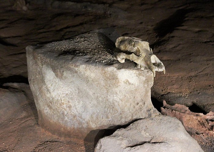 Chauvet Cave Smarthistory – Religion: spotlight — Chauvet cave photo