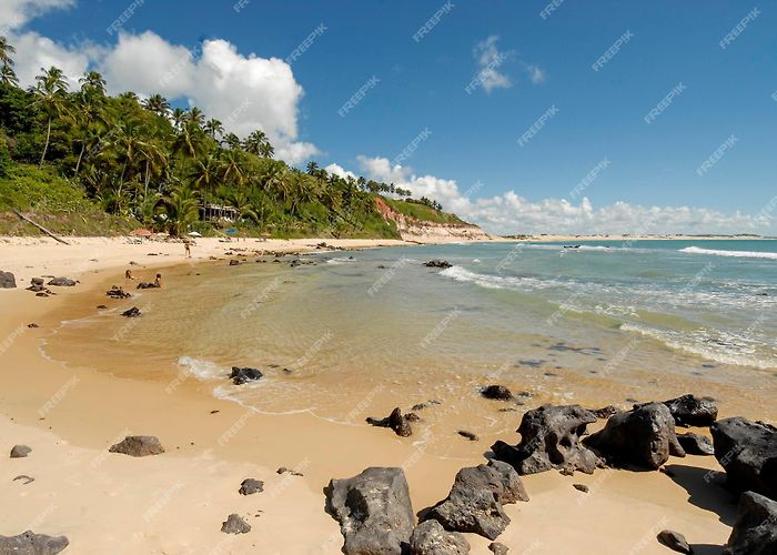 Giz Beach Premium Photo | Chalk beach tibau do sul near natal rio grande do ... photo