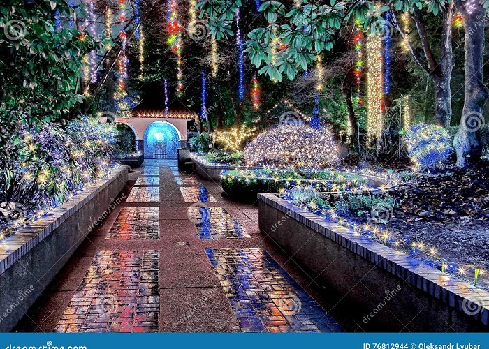 Park and Tilford Gardens Christmas Illuminations in the Park Stock Photo - Image of gardens ... photo