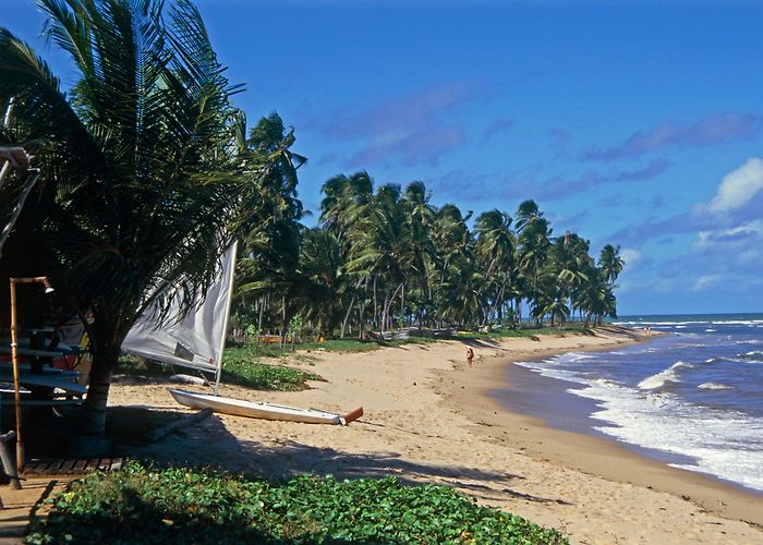 Timeantube Lagoon Things to Do in Mata de São João in 2024 | Expedia photo