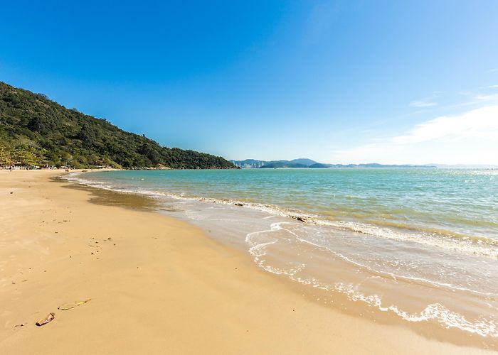 Camboriu Praia Shopping Mall Laranjeiras Beach Tours - Book Now | Expedia photo