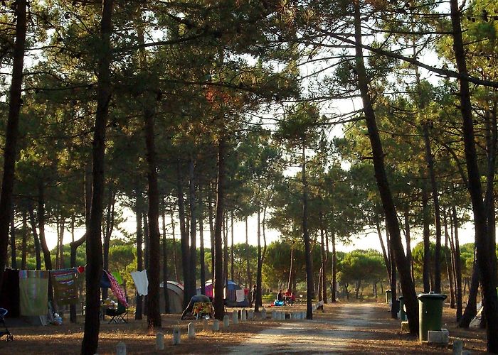 Aguas Park Parque Orbitur Sitava Milfontes, Vila Nova de Milfontes, Odemira ... photo