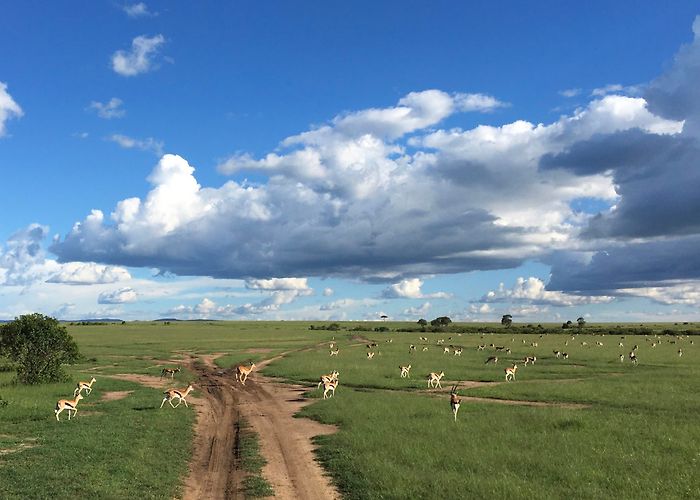 Maasai Mara photo