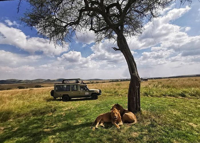 Maasai Mara photo