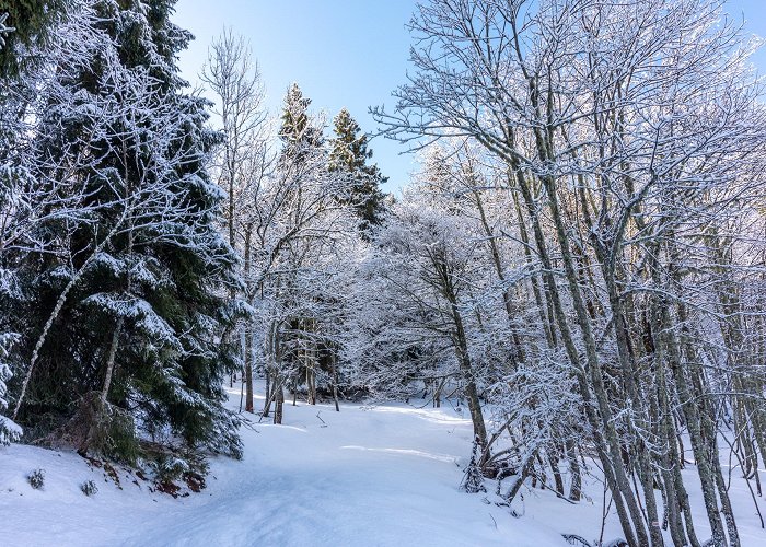 Saint-Colomban-des-Villards photo