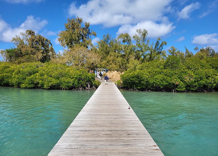 Ile aux Cerfs photo