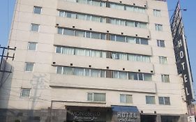Hotel California Mexico City Exterior photo