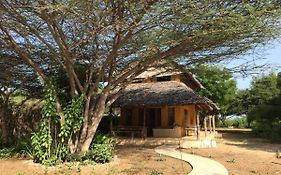 Mangrove House Hotell Lamu Exterior photo