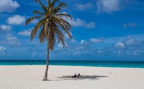 Ocean View Condo Overlooking The Caribbean Sea Oranjestad Exterior photo