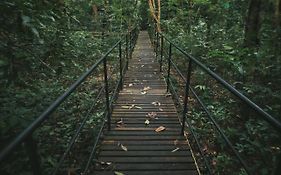 Khao Sok Tree House Resort Khao Sok National Park Exterior photo