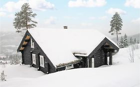 Awesome Home In Trysil With 4 Bedrooms, Sauna And Wifi Exterior photo