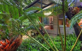 Chambers Wildlife Rainforest Lodges Lake Eacham Exterior photo